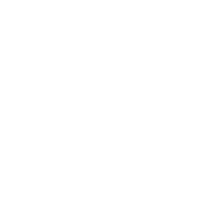 light logo